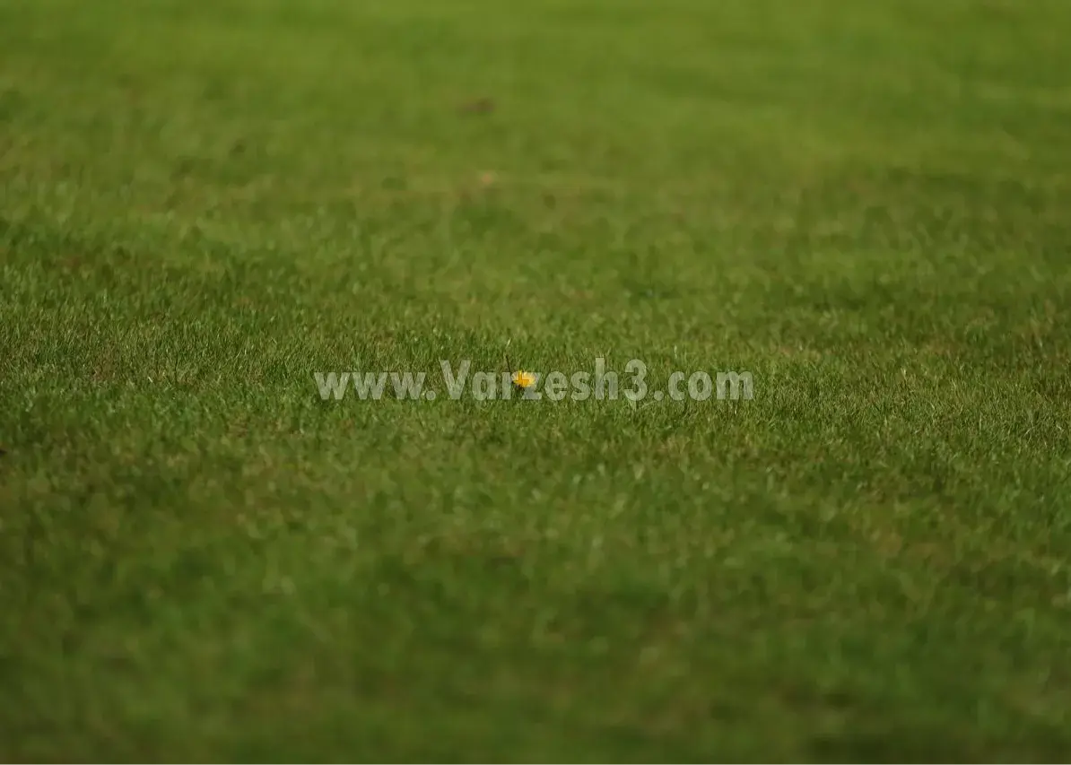 تصویر استعاری از زمین نساجی: گل می‌روید ز چمن!