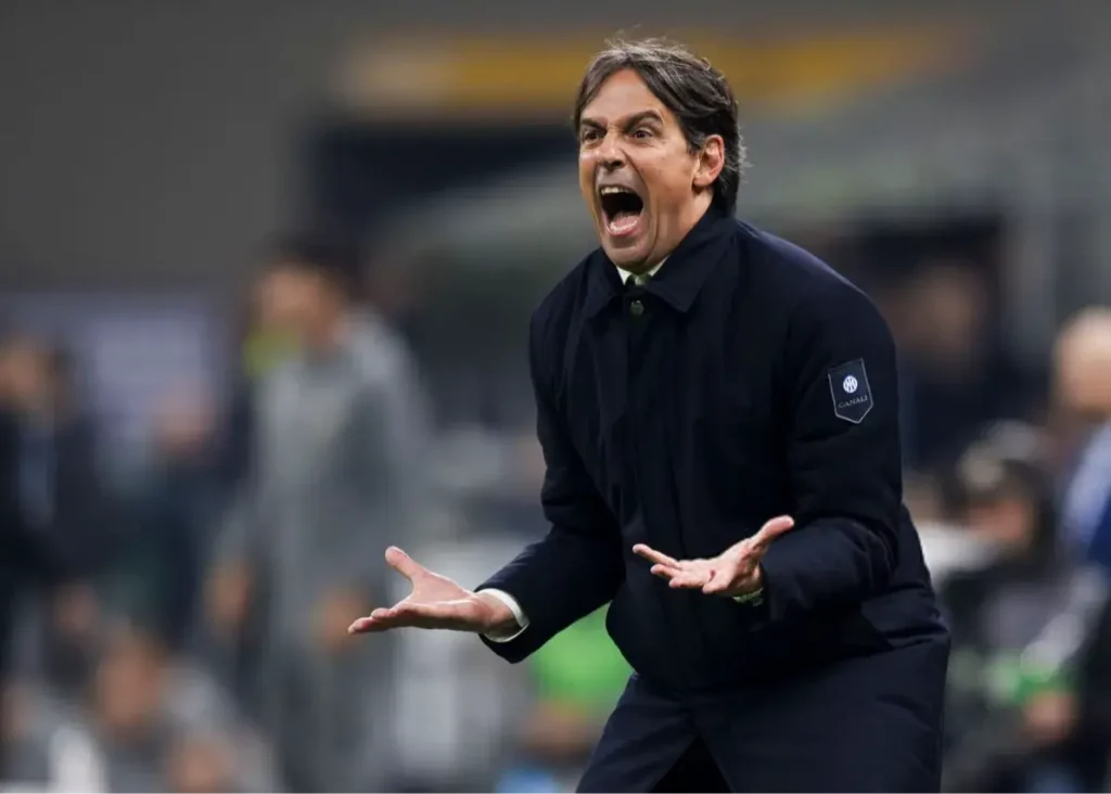 اینزاگی یک اسباب‌بازی بسیار زیبا ساخت