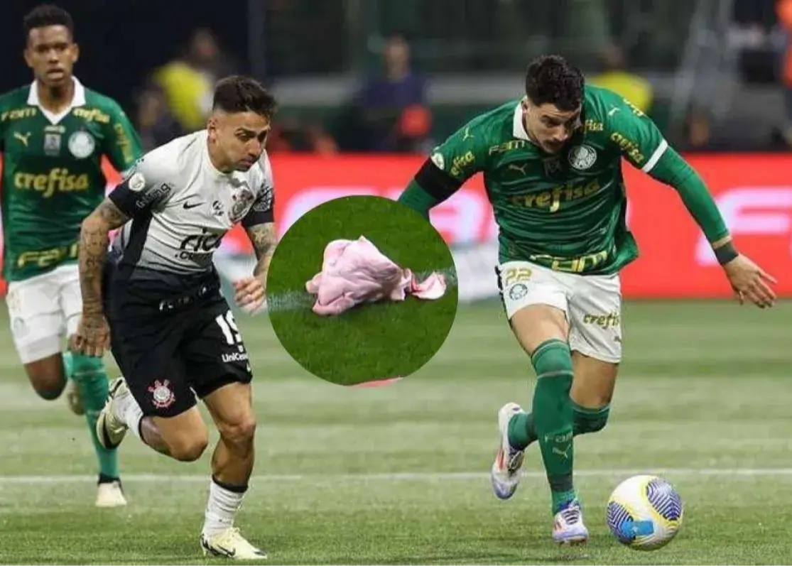 پرتاب سر مرغ به زمین در دربی سائوپائولو!