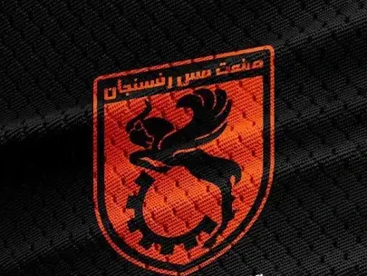 مالکیت مشترک، علت عدم دریافت مجوز حرفه‌ای