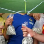 ورود تخمه به استادیوم ممنوع شد!