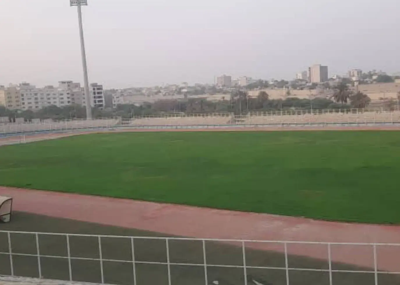 چمن زردی که رنگ عوض کرد! (عکس)