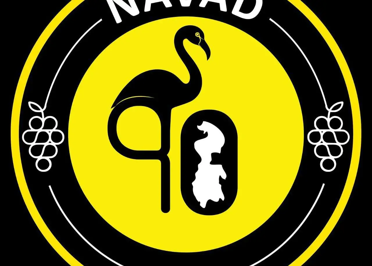 با نماد فلامینگو و دریاچه ارومیه؛/ لوگوی جدید تیم لیگ یکی برای فصل جدید