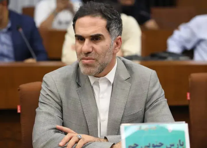 مدیرعامل پارس جنوبی: آماده صعود به لیگ برتر هستیم