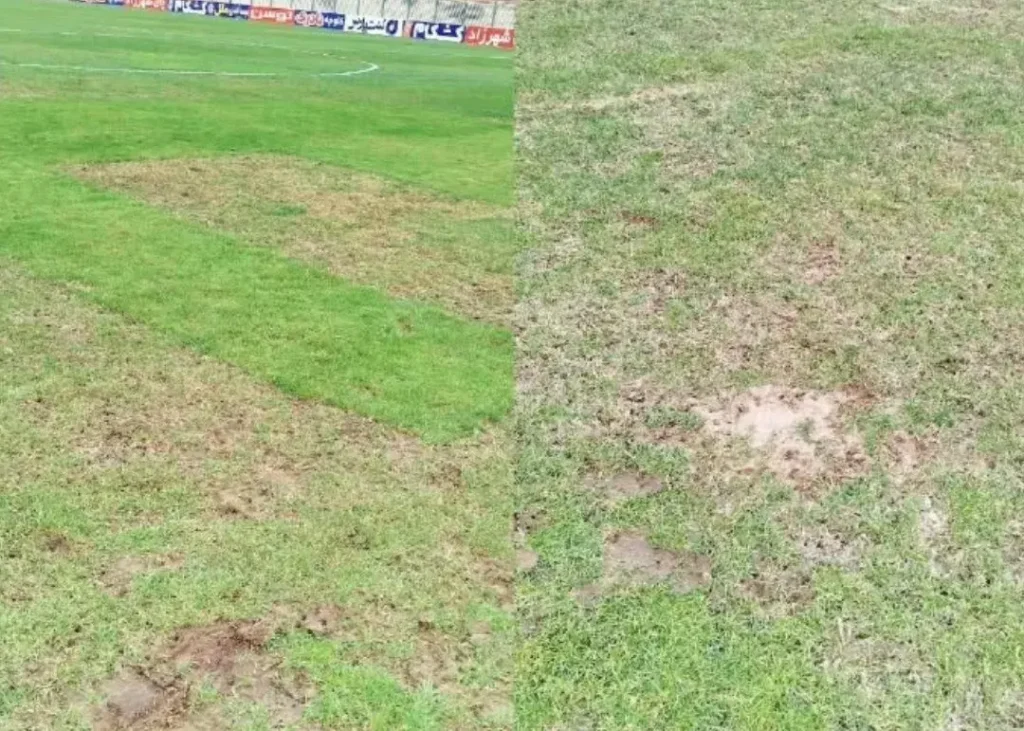 ادامه اوضاع اسفناک در ورزشگاه شرق تهران/ چمن تختی بعد از باران: شبیه به پارک!(عکس)