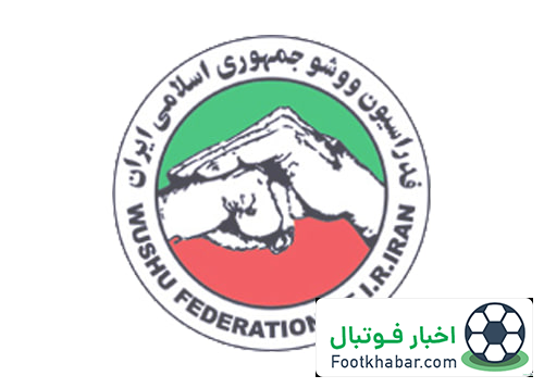 صدیقی: افزایش نرخ ارز در بودجه ما پیش بینی نشده/ سهم ووشو در سبد مدالی ناگویا ویژه خواهد بود