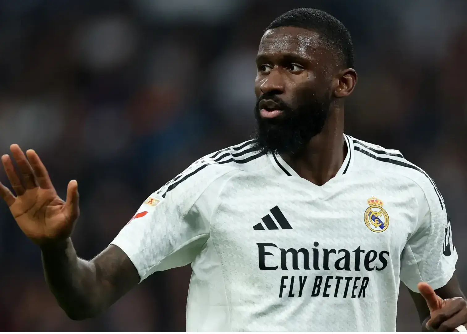 خشم هیولای رئال: خودتان دیدید چه شد!