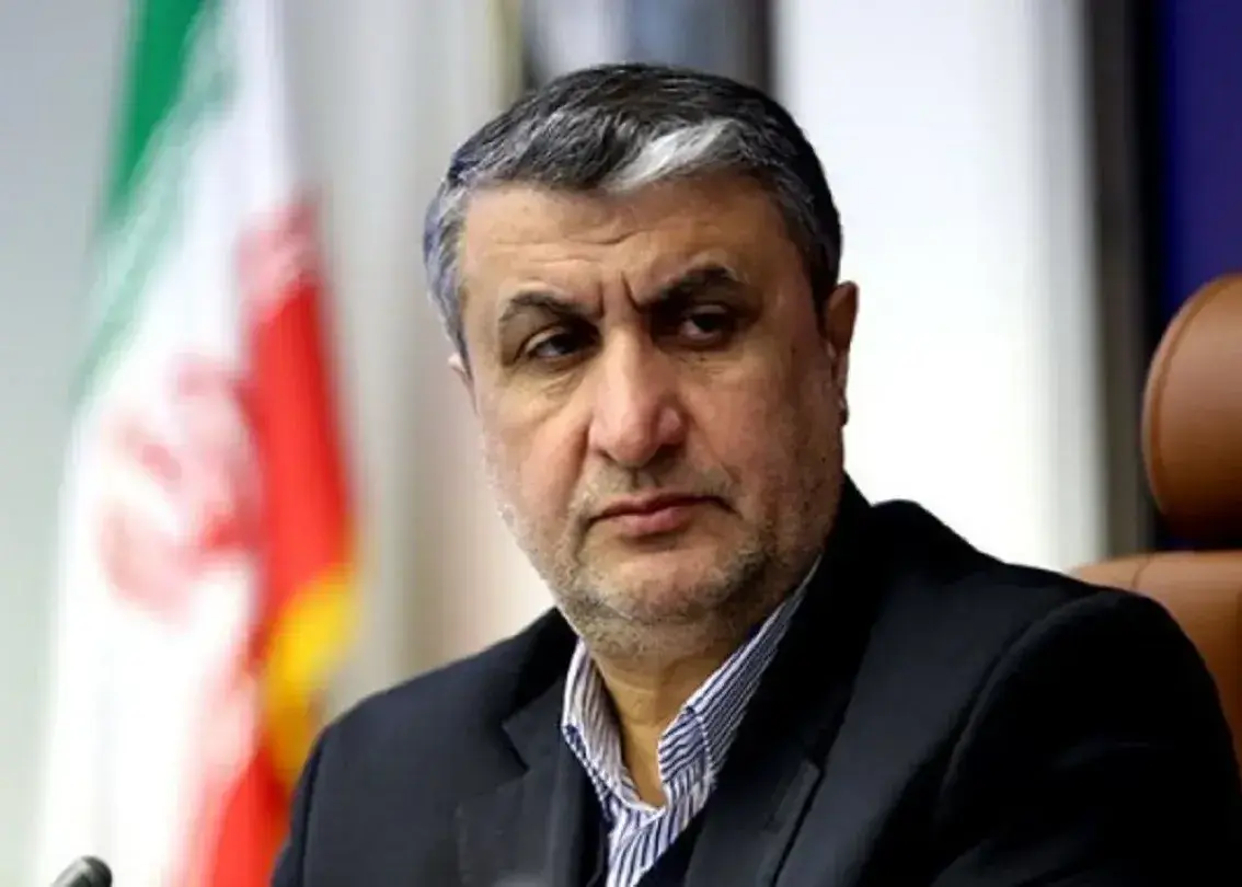 رئیس سازمان انرژی اتمی از طرحی بزرگ خبر داد