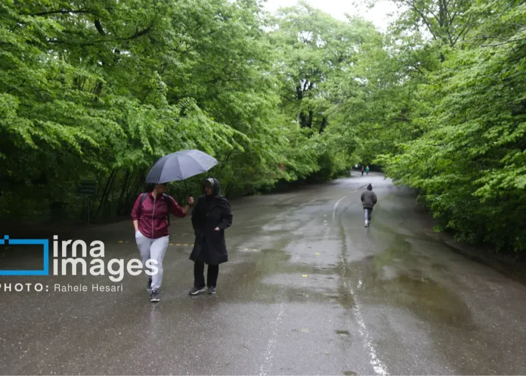 رگبار و رعدوبرق در ۸ استان نوار شمالی کشور